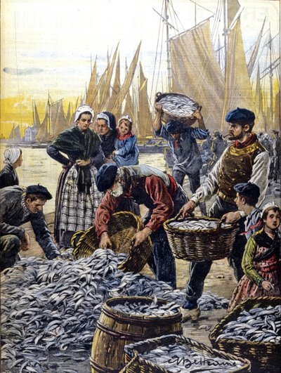 صيد سمك السردين في بريتاني في عام 1903 رسم توضيحي لأخيل بلترام بواسطة أخيل بيلترام