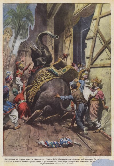 أ؟ ممثل زيادة الوزن بواسطة Achille Beltrame