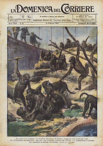 حرب القرود بواسطة Achille Beltrame