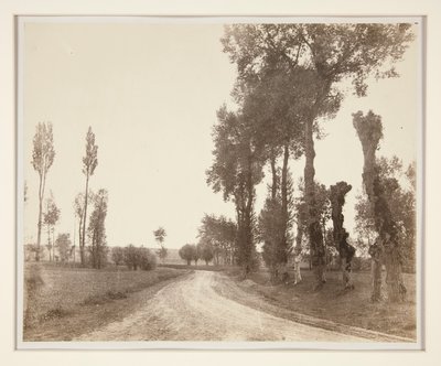 أرشيكورت ، فرنسا بواسطة Adalbert Cuvelier