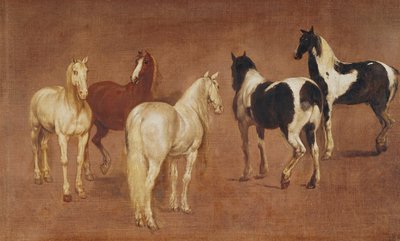 دراسة الخيول الخمسة بواسطة Adam Frans van der Meulen