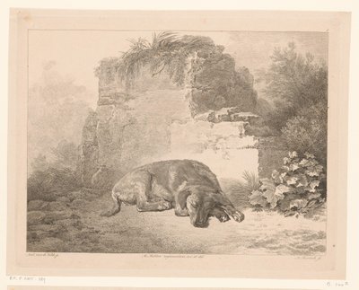 كلب نائم أمام الحائط الحيوانات بعد اللوحات التي رسمها أساتذة هولنديون (عنوان السلسلة) Différens animaux gravés d