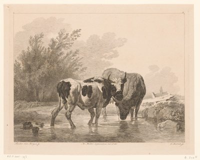 بقرتان في مجرى مائي الحيوانات بعد اللوحات التي رسمها أساتذة هولنديون (عنوان السلسلة) Différens animaux gravés d