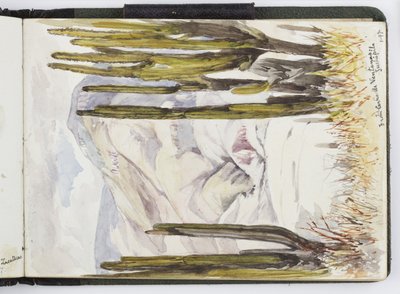 كراسة رسم للألوان المائية والرسومات والملاحظات ، المكسيك ، 1896-1898 (ألوان مائية) بواسطة أديلا بريتون