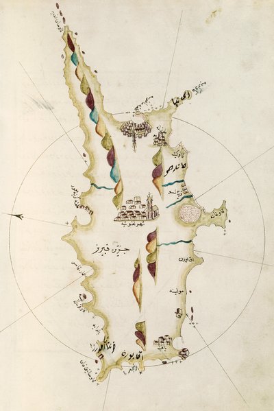 Map of island of Cyprus, illustration from Portolano atlas, by Admiral Piri Reis (1465-1470 - 1553-1554) بواسطة الأدميرال بيري ريس