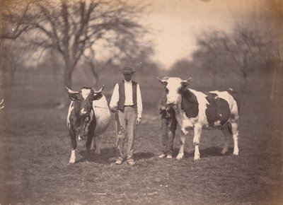 منظر طبيعي، ج. 1864 (صورة فوتوغرافية) بواسطة أدولف براون