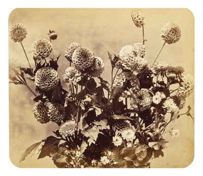 بدون عنوان ، ج. 1860 (طبعة زخرفية) بواسطة أدولف براون