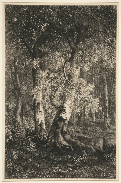 الزان بواسطة Adolphe Martial Potemont
