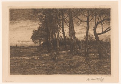 المناظر الطبيعية مع الأشجار المساء (العنوان على الكائن) بواسطة Adolphe PH J. van Weezel Errens (بتوقيع الفنان)