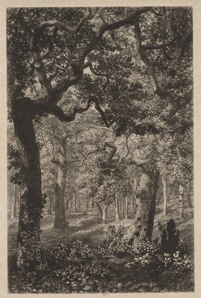 في الغابة بواسطة Adolphe Théodore Jules Martial Potémont