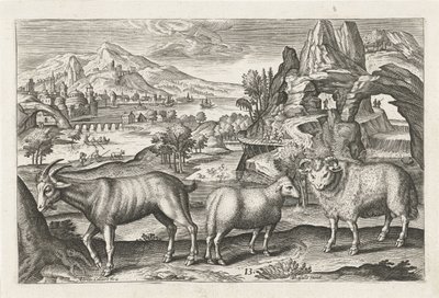 الماعز والأغنام الحيوانات ذات الأرجل الأربعة (عنوان السلسلة) Animalivm Qvaddrvpedvm (عنوان السلسلة) بواسطة ثيودور جالي