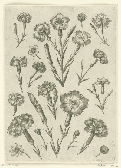 أنوار مختلفة Florilegium (عنوان المسلسل) بواسطة أدريان كوليرت