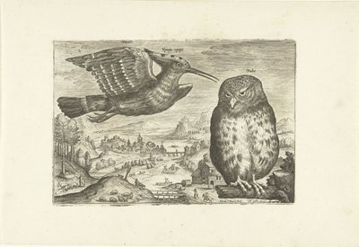 بعض الطيور في المناظر الطبيعية الطيور (عنوان السلسلة) Avium vivae (عنوان المسلسل) بواسطة ثيودور جالي