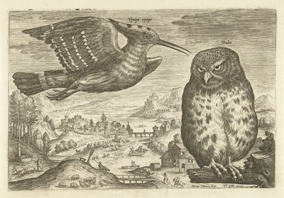 بعض الطيور في المناظر الطبيعية الطيور (عنوان السلسلة) Avium vivae (عنوان المسلسل) بواسطة ثيودور جالي