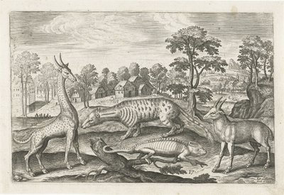 حيوانات غريبة الحيوانات ذات الأرجل الأربعة (عنوان السلسلة) Animalivm Qvaddrvpedvm (عنوان المسلسل) بواسطة أدريان كوليرت