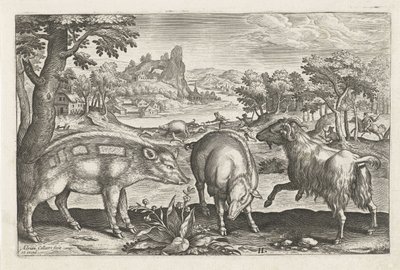 الماعز والخنزير الحيوانات ذات الأرجل الأربعة (عنوان السلسلة) Animalivm Qvaddrvpedvm (عنوان المسلسل) بواسطة أدريان كوليرت