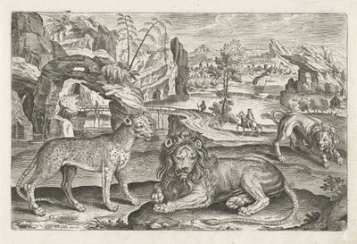 الأسود والفهد الحيوانات ذات الأرجل الأربعة (عنوان السلسلة) Animalivm Qvaddrvpedvm (عنوان المسلسل) بواسطة أدريان كوليرت