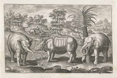 الفيلة ووحيد القرن الحيوانات ذات الأرجل الأربعة (عنوان السلسلة) Animalivm Qvaddrvpedvm (عنوان المسلسل) بواسطة ثيودور جالي