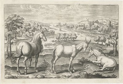 الخيول والحمير الحيوانات ذات الأرجل الأربعة (عنوان السلسلة) Animalivm Qvaddrvpedvm (عنوان المسلسل) بواسطة أدريان كوليرت