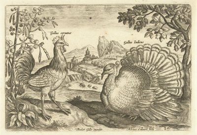 طفلان في منظر طبيعي Avium Vivae (عنوان المسلسل) الطيور (عنوان السلسلة) بواسطة ثيودور جالي