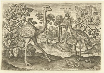 معدلان في منظر طبيعي Avium Vivae (عنوان المسلسل) الطيور (عنوان السلسلة) بواسطة ثيودور جالي