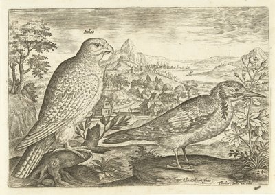 عصفورين في منظر طبيعي Avium Vivae (عنوان المسلسل) الطيور (عنوان السلسلة) بواسطة ثيودور جالي