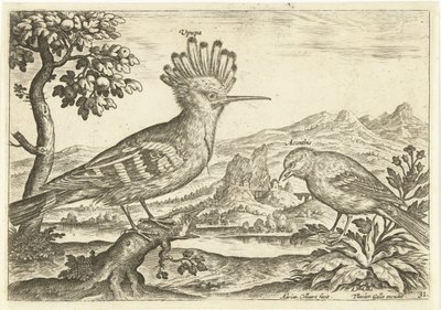 عصفورين في منظر طبيعي الطيور (عنوان السلسلة) Avium Vivae (عنوان المسلسل) بواسطة ثيودور جالي