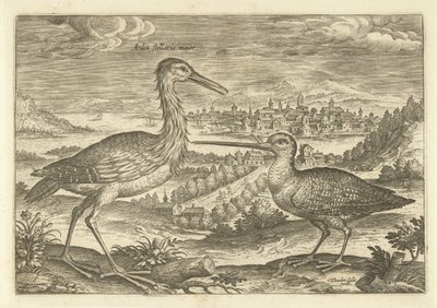 عصفورين في منظر طبيعي الطيور (عنوان السلسلة) Avium vivae (عنوان المسلسل) بواسطة ثيودور جالي
