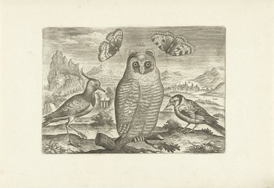 الطيور والفراشات في المناظر الطبيعية الطيور (عنوان السلسلة) Avium vivae (عنوان المسلسل) بواسطة أدريان كوليرت