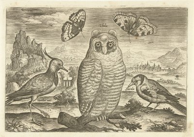 الطيور والفراشات في المناظر الطبيعية الطيور (عنوان السلسلة) Avium vivae (عنوان المسلسل) بواسطة أدريان كوليرت