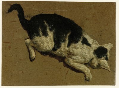 قطة تنظر لأسفل من ارتفاع بواسطة Adriaen van de Velde (منسوب إلى)
