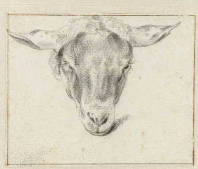 رأس غنم من الأمام بواسطة Adriaen van de Velde (منسوب إلى)