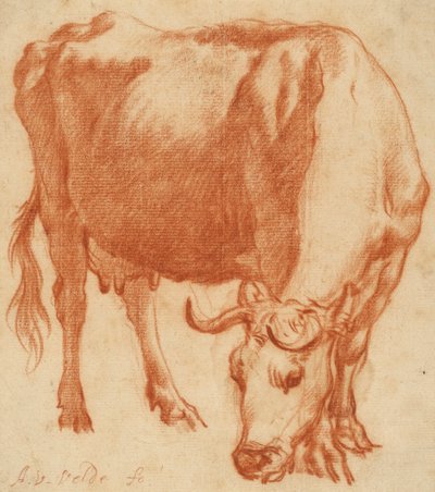 رعي بقرة ، c.1663 (رسم الطباشير الأحمر) بواسطة أدريان فان دي فيلدي