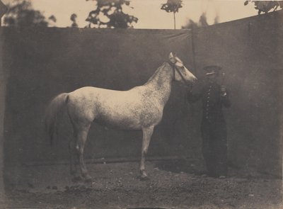 باسكالين ، كاليفورنيا. 1855-60. بواسطة أدريان ألبان تورناشون