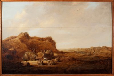 منظر طبيعي مع أرانب رسمه ألبرت (ألبرت أو ألبرخت) كويب (1620-1691) 1641-1642 أبعاد 44 × 67 سم جينات ، متحف سترادا نوفا (قصر روسو سابقًا) بواسطة آلبرت كويب