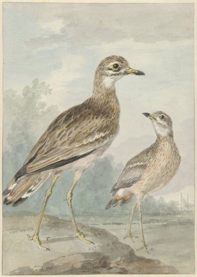 صراخان بواسطة عيرت شومان