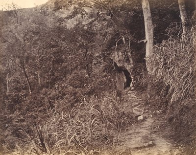 الطريق اليسرى حتى دير يوين فو ، كاليفورنيا. 1869. بواسطة أفونغ لاي