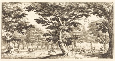 المناظر الطبيعيه بواسطة After Jacques Callot