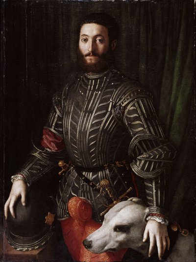 صورة غويدوبالدو الثاني ديلا روفر (1514-1574) دوق أوربينو (غيدوبالدو الثاني ديلا روفيري ، دوق أوربينو) لوحة لبرونزينو أغنولو دي كوزيمو دي ماريانو (1503-1572) 1531-1532 ، زيت على خشب ، قاتمة 114x86 سم فلورنسا ، قصر بيتي بواسطة أغنولو برونزينو
