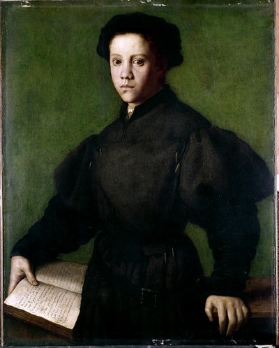 صورة لصبي صغير بواسطة Agnolo di Cosimo Bronzino