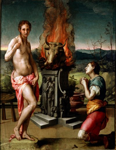 لوحة Pygmalion و Galatee (أو Galathee) بواسطة Agnolo di Cosimo di Mariano dit Il Bronzino (1502-1572) 1529-1530 الشمس .81x63 سم فلورنسا ، معرض أوفيزي (متحف أوفيزي) بواسطة أغنولو برونزينو