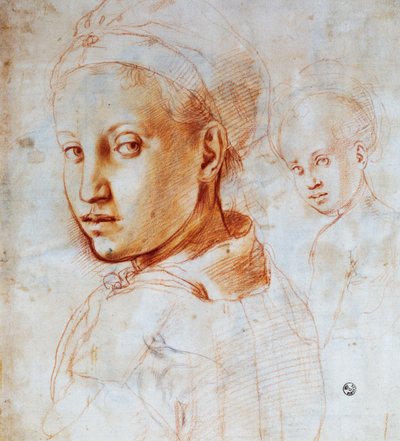 رأس شابة ، بقلم أنولو برونزينو (1503-1572) ، رسم ، إيطاليا بواسطة جاكوبو بونتورمو