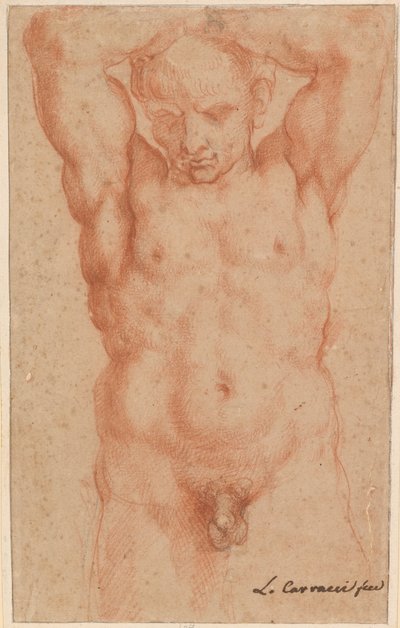 ذكر عارية بواسطة Agostino Carracci