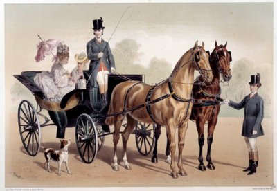 عربة تجرها الخيول الأنجلو نورمان مطبوعة بقلم ألبرت آدم (1833-؟) القرن التاسع عشر ، متحف كارنافالي في باريس بواسطة ألبرت آدم