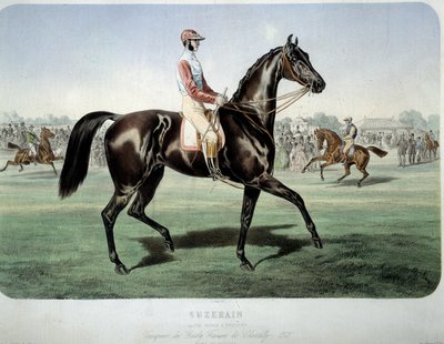 السباق: "" Suzerain ، الفائز في دربي شانتيلي في عام 1868 "" الطباعة الحجرية لألبرت آدم (1833 -؟) مجموعة خاصة بواسطة ألبرت آدم