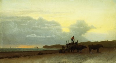 منظر ساحلي ، نيوبورت ، 1861 بواسطة ألبرت بيرشتات