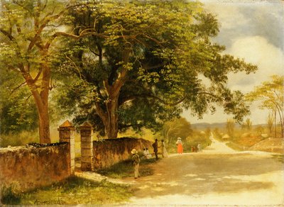شارع في ناسو ، c.1878 بواسطة ألبرت بيرشتات