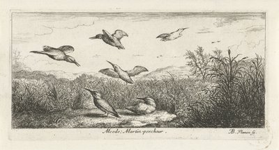 المناظر الطبيعية مع kingfishers Alcedo. مارتن بيبي. (العنوان على الكائن) كتاب الطيور (عنوان السلسلة) Livre d