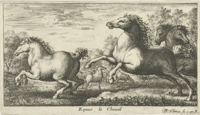 خيل Equus le Cheval (العنوان على الكائن) أنواع الحيوانات المختلفة (عنوان السلسلة) بواسطة ألبرت فلمش
