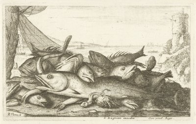 صيد السلطعون الناسك أنواع الأسماك المختلفة (عنوان السلسلة) Diverses Especes De Poissons tant de Mer، que d